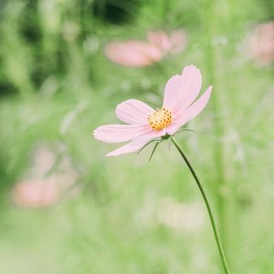 杏鑫登录网站