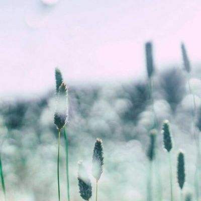 极速快乐10分