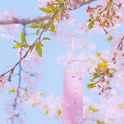 彩神v11
