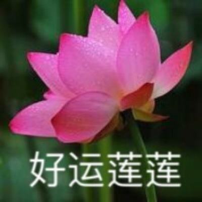满堂彩mtc69