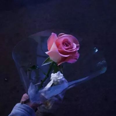 澳门新葡电子游戏网